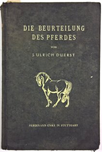 Die Beurteilung des Pferdes