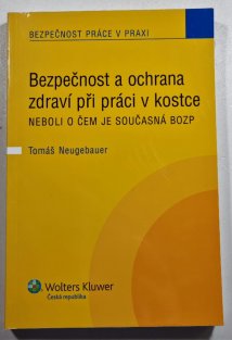 Bezpečnost a ochrana zdraví při práci v kostce neboli o čem je současná BOZP