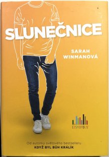 Slunečnice