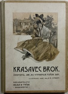 Krasavec Brok