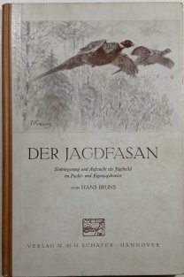 Der Jagdfasan