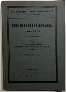 Dendrologie - jehličnaté