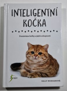 Inteligentní kočka