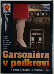 Garsoniéra v podkroví