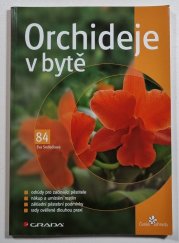 Orchideje v bytě - 