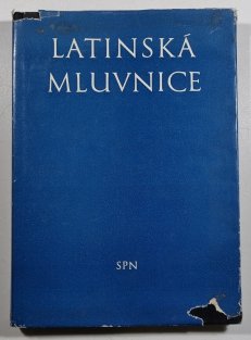 Latinská mluvnice