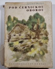 Pod černickou oborou - 