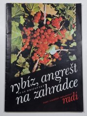 Rybíz, angrešt na zahrádce - 