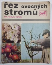 Řez ovocných stromů - 