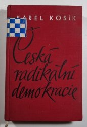 Česká radikální demokracie - Příspěvek k dějinám názorových sporů v české společnosti 19. století