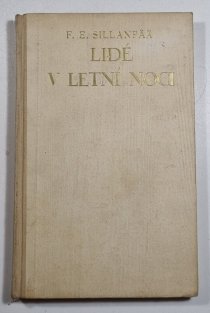 Lidé v letní noci