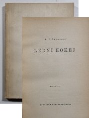 Lední hokej - 