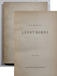 Lední hokej