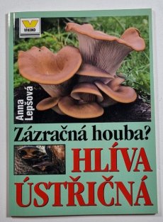 Zázračná houba? Hlíva ústřičná