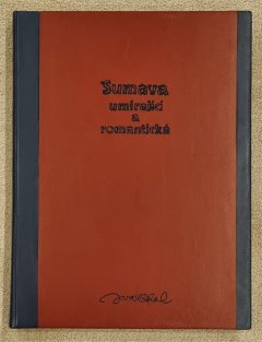 Šumava umírající a romantická (obří formát - 50x65 cm)