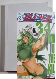 Bleach #34: King of the Kill