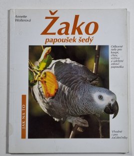 Žako - papoušek šedý