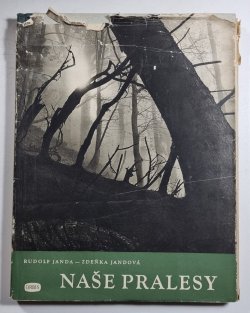 Naše pralesy