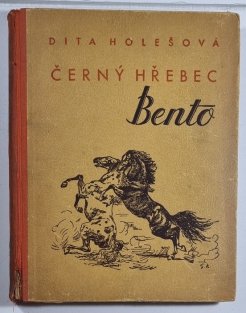 Černý hřebec Bento