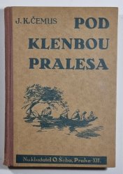 Pod klenbou pralesa - 