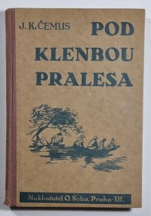 Pod klenbou pralesa