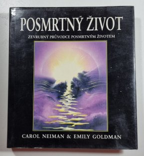 Posmrtný život