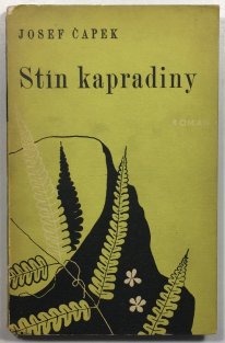 Stín kapradiny