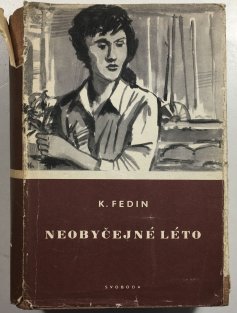 Neobyčejné léto