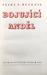 Bojující anděl