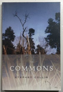 The Commons