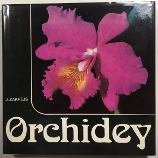 Orchidey